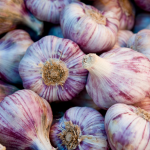 winterknoblauch kaufen